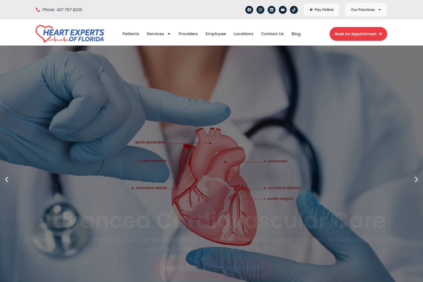 Heart Experts FL